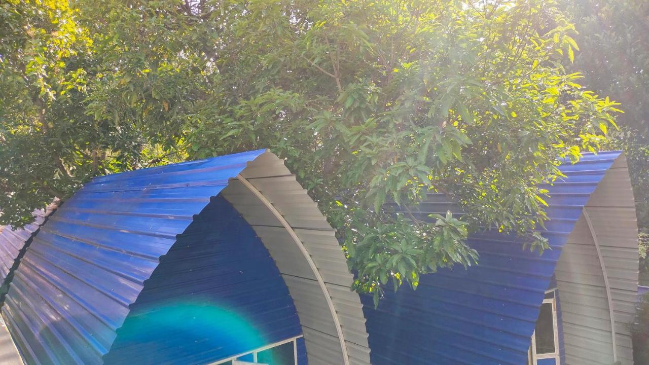 Airport Guest house Katunayake